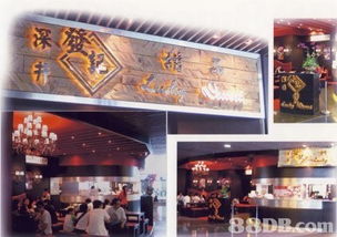 自助網(wǎng)頁(yè)設(shè)計(jì)咨詢 從零開(kāi)始構(gòu)建你的在線品牌