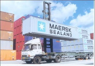 佛山國際貨運代理綜合服務指南 海運、物流、倉儲一體化解決方案